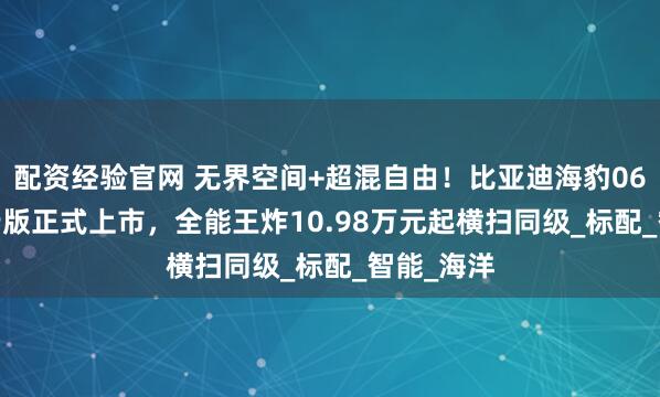 配资经验官网 无界空间+超混自由！比亚迪海豹06DM-i旅行版正式上市，全能王炸10.98万元起横扫同级_标配_智能_海洋