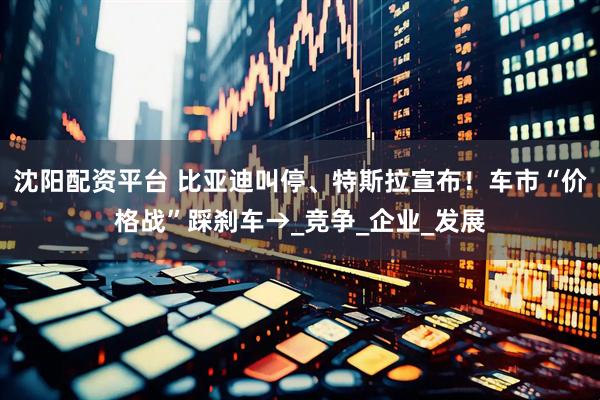 沈阳配资平台 比亚迪叫停、特斯拉宣布！车市“价格战”踩刹车→_竞争_企业_发展