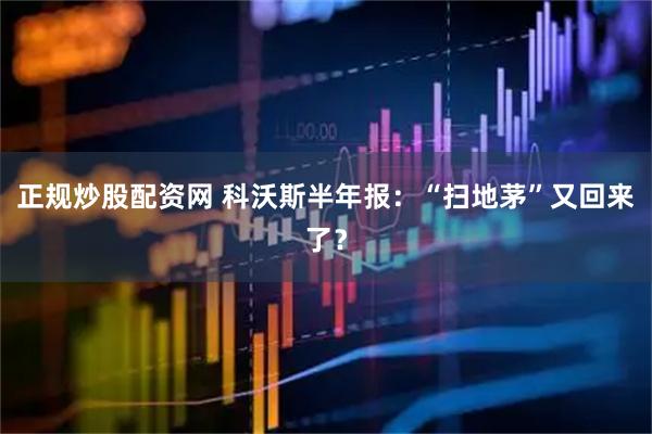 正规炒股配资网 科沃斯半年报：“扫地茅”又回来了？
